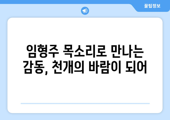 임형주 - 천개의 바람이 되어| 감동적인 명곡 감상하기 | 듣기, 원곡, 가사, 악보, 해설