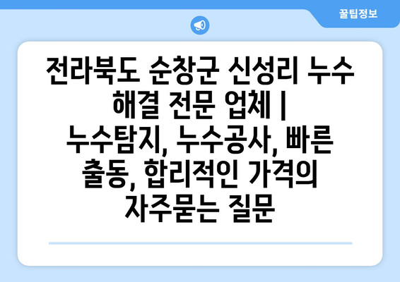 전라북도 순창군 신성리 누수 해결 전문 업체 | 누수탐지, 누수공사, 빠른 출동, 합리적인 가격